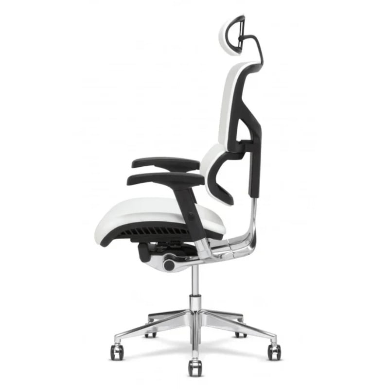 Ортопедическое кресло Falto Leather Premium SL (динамичный поясничный упор, натуральная кожа, чёрный каркас, белый)