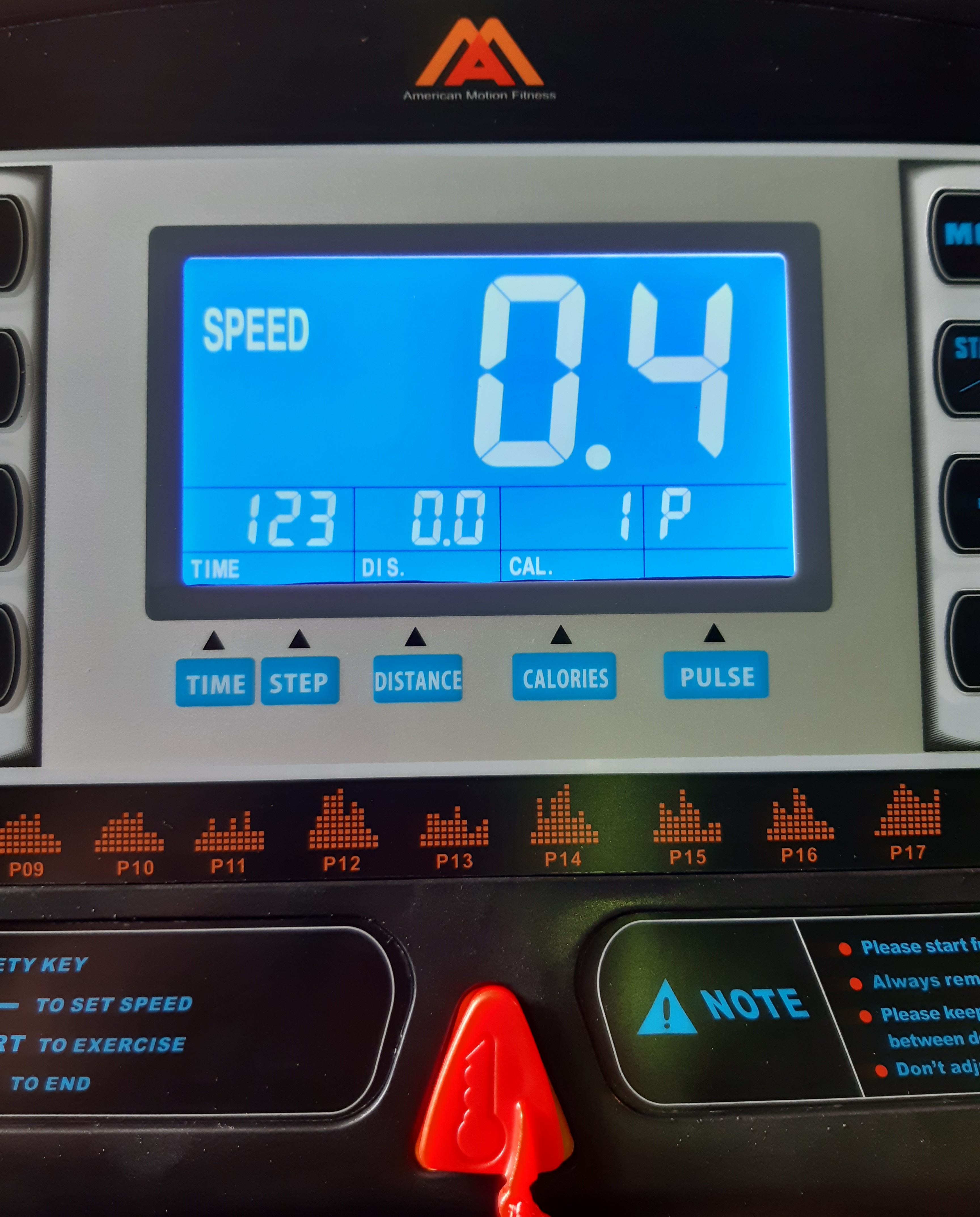 Беговая дорожка American Motion Fitness TX001 + поручни