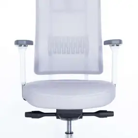 Эргономичное кресло Falto X TRANS (наклон переднего края сиденья, сетка, ткань, каркас белый, серый)