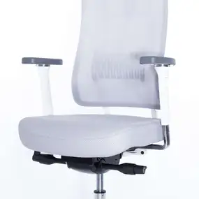 Эргономичное кресло Falto X TRANS (наклон переднего края сиденья, сетка, ткань, каркас белый, серый)