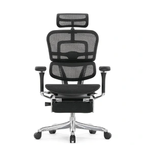 Эргономичное кресло Falto Ergohuman 2 Luxury с подножкой (SmartWork, алюминий, наклон вперёд, сетка, чёрный)