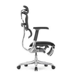 Эргономичное кресло Falto Ergohuman 2 Luxury с подножкой (SmartWork, алюминий, наклон вперёд, сетка, чёрный)