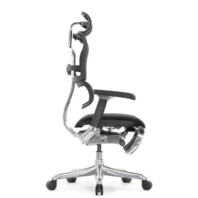 Эргономичное кресло Falto Ergohuman 2 Luxury с подножкой (SmartWork, алюминий, наклон вперёд, сетка, чёрный)