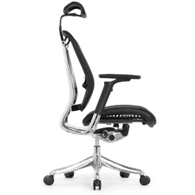 Эргономичное кресло Falto Spring 2 (поясничный валик, подлокотники 6D (360), сетка, чёрный)