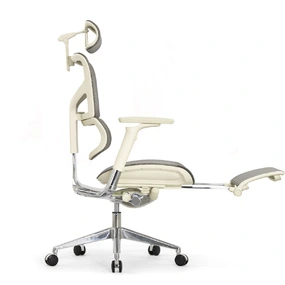 Эргономичное кресло Falto Sail 2 с подножкой (динамичный поясничный упор, подлокотники 6D (360), сетка, светлый)