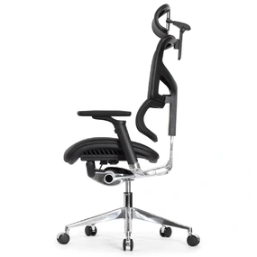 Эргономичное кресло Falto Leater Premium SL (динамичный поясничный упор, натуральная кожа, чёрный)