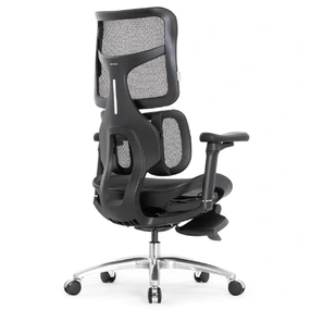 Эргономичное кресло Falto Scala Office с подножкой (разделённый поясничный упор, сетка, чёрный)