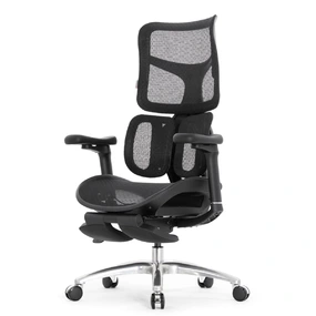 Эргономичное кресло Falto Scala Office с подножкой (разделённый поясничный упор, сетка, чёрный)