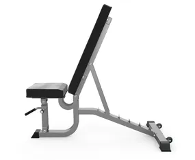 Универсальная скамья DFC HOMEGYM D10